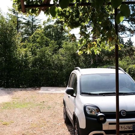 Manjsa Hisa Savudrija Alberi Zraven Petram Naselja Ξενοδοχείο Crveni Vrh Εξωτερικό φωτογραφία
